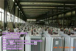 南京變壓器集團——卓越技術服務，共創(chuàng)能源未來