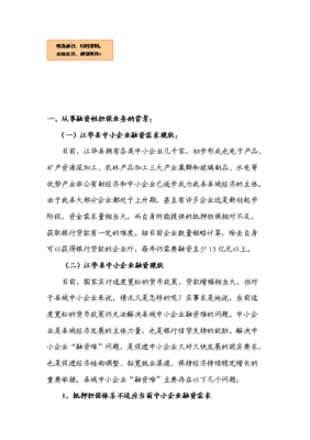 融資性擔保業(yè)務(wù)項目備案立項報告