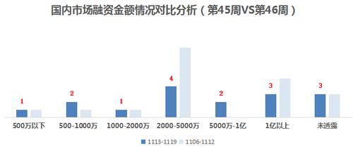 誰說性感只能有維密一種 neiwai內(nèi)外獲7000萬B輪融資，推動(dòng)融資性擔(dān)保視角下的內(nèi)衣行業(yè)變革